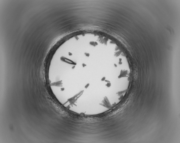 X0000111001022200907171809