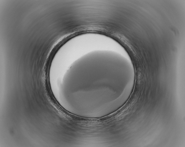 X0000111001024200907171809