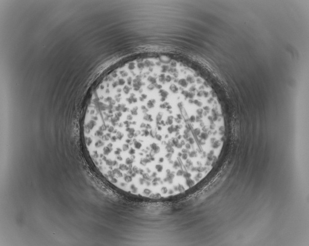 X0000111001025200907171809