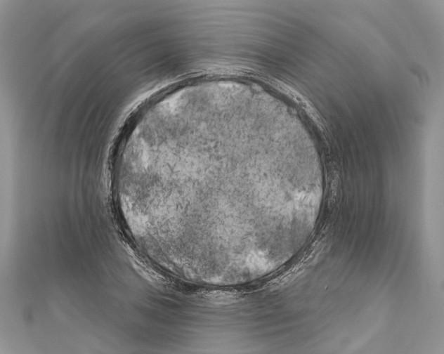 X0000111001027200907171809