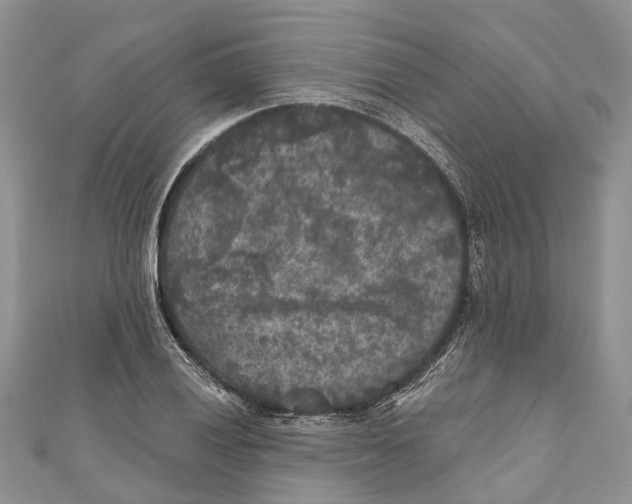 X0000111001028200907171809