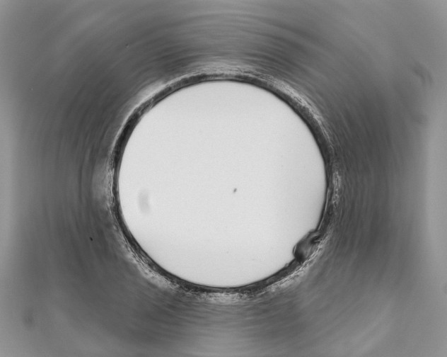 X0000111001029200907171809