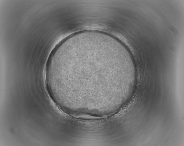 X0000111001032200907171809