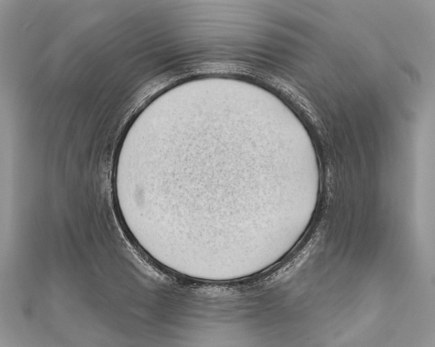 X0000111001033200907171809