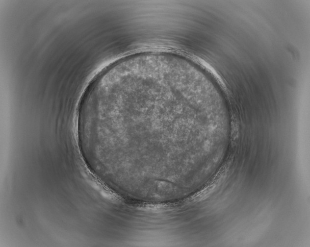 X0000111001035200907171809