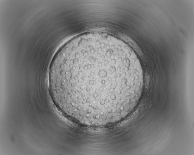 X0000111001036200907171809