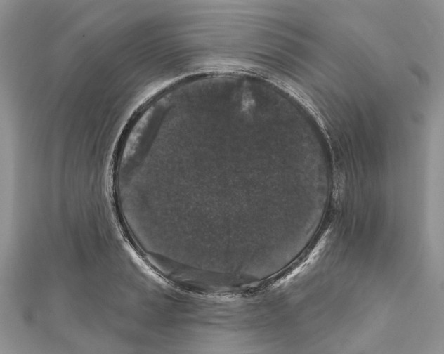 X0000111001037200907171809