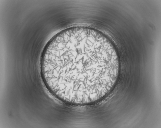 X0000111001038200907171809