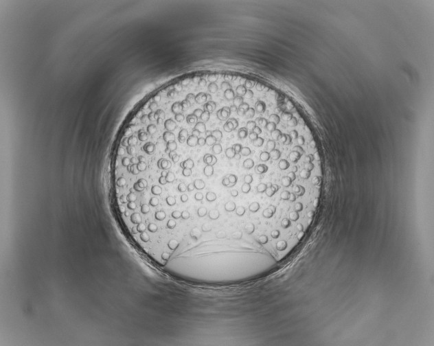 X0000111001040200907171809