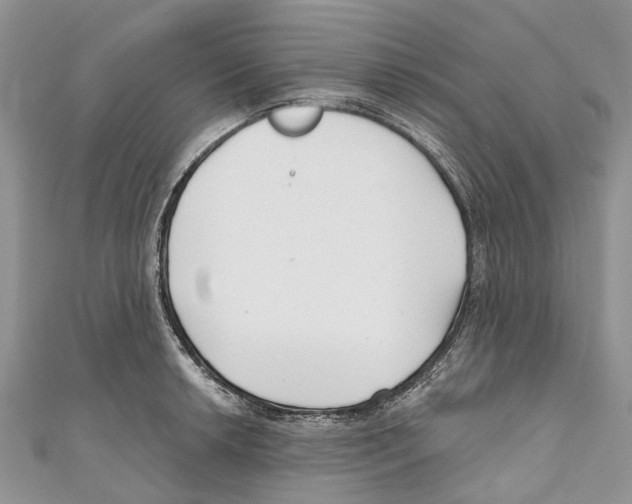 X0000111001042200907171809