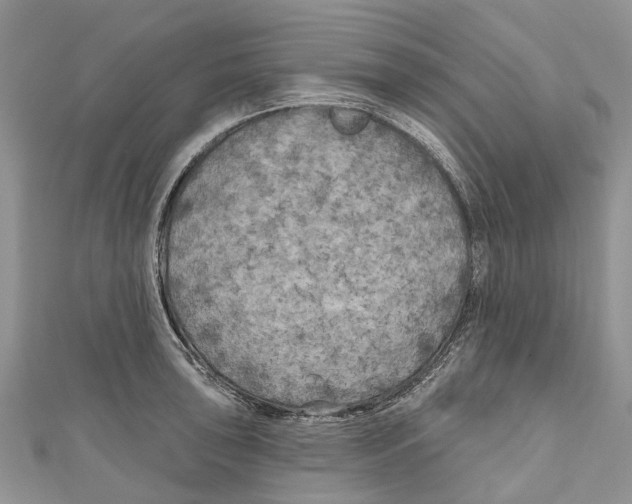 X0000111001043200907171809