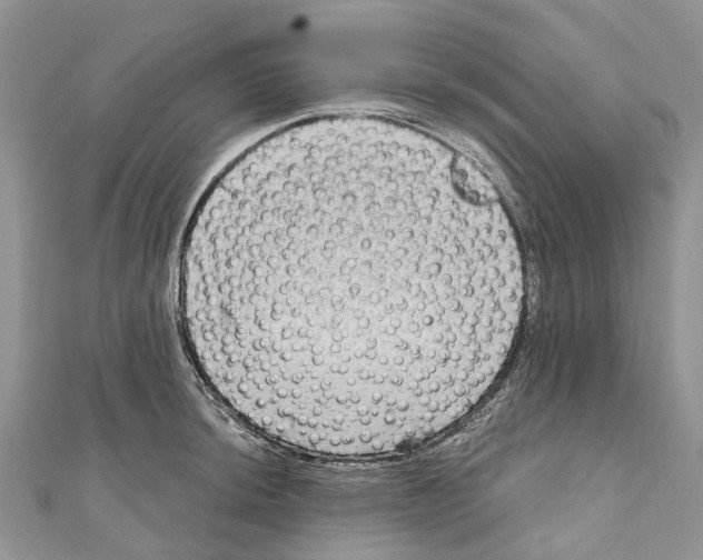 X0000111001044200907171809