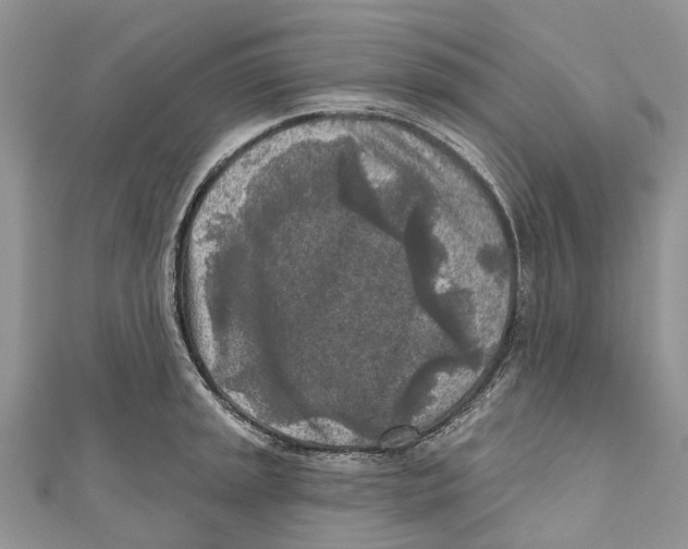 X0000111001045200907171809