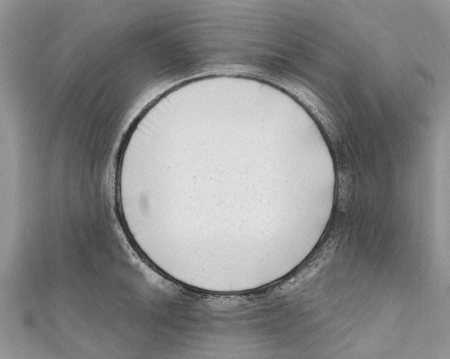 X0000111001046200907171809