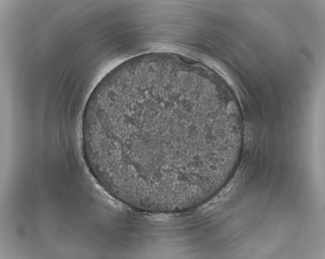 X0000111001048200907171809