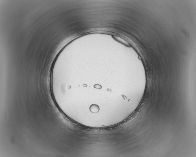 X0000111001050200907171809