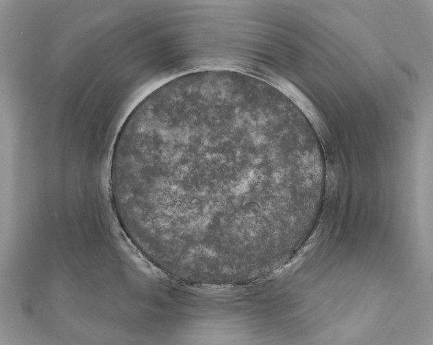 X0000111001052200907171809