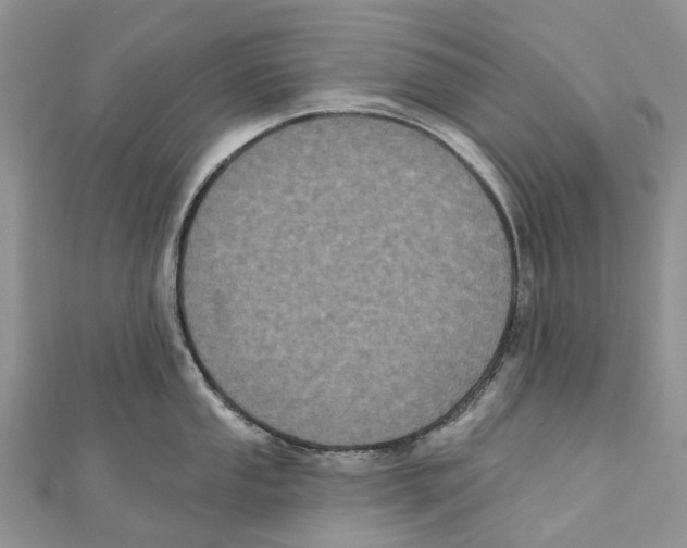 X0000111001053200907171809