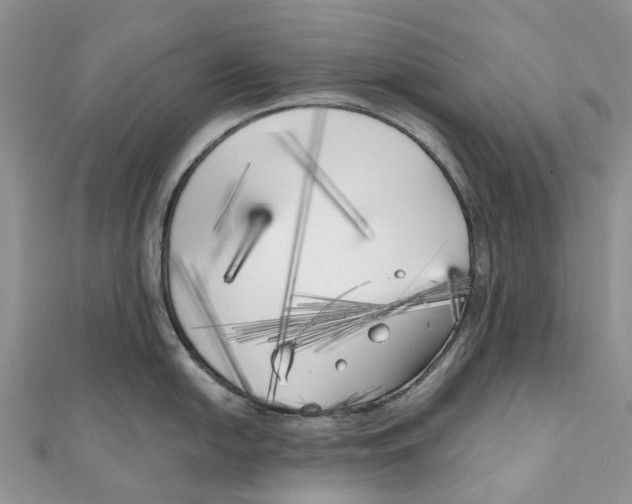 X0000111001054200907171809