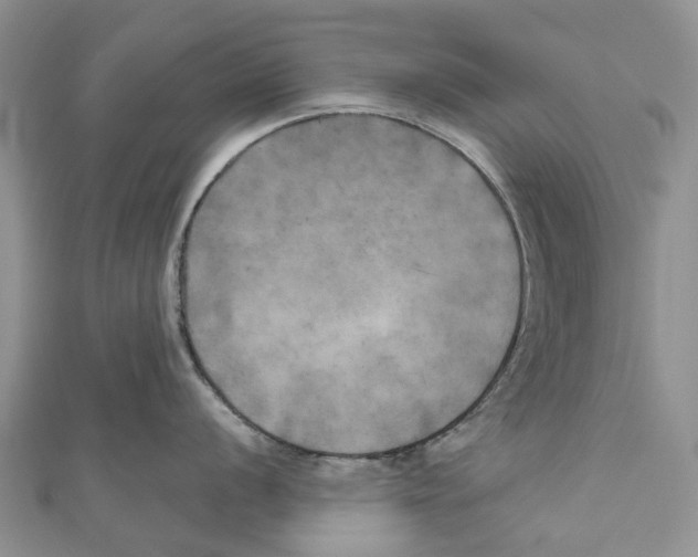 X0000111001056200907171809