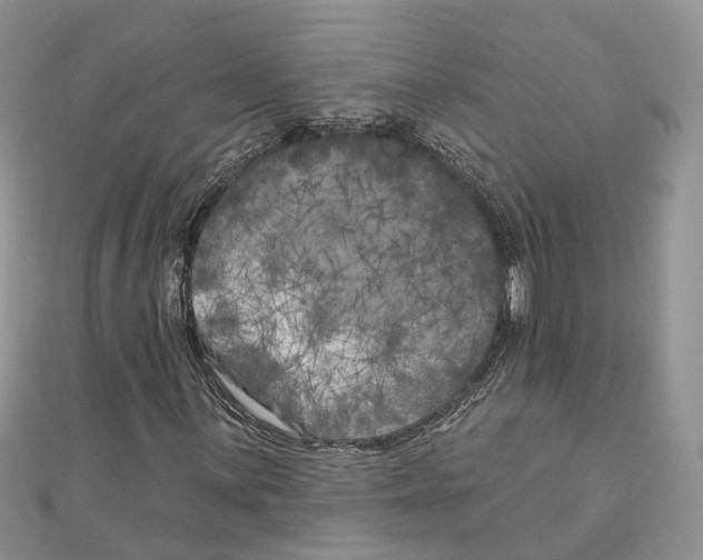 X0000111001059200907171808