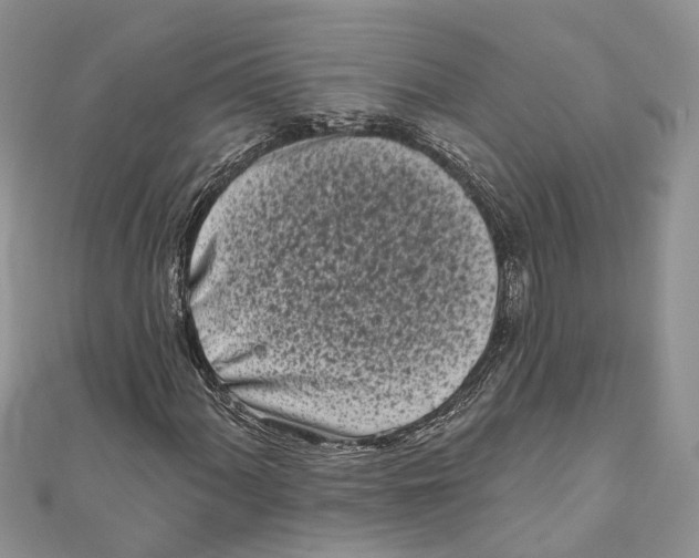 X0000111001060200907171808