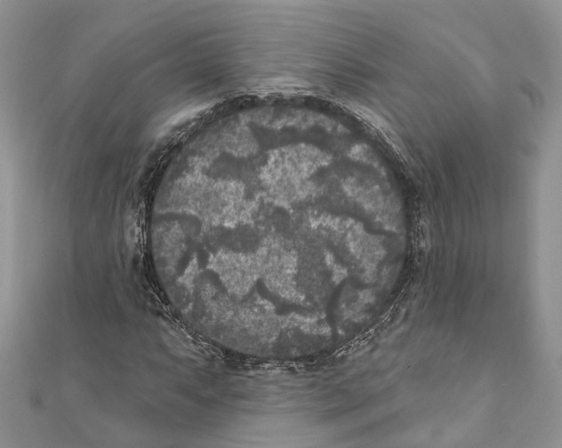 X0000111001063200907171808