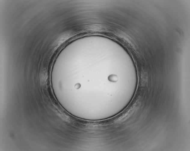 X0000111001065200907171808