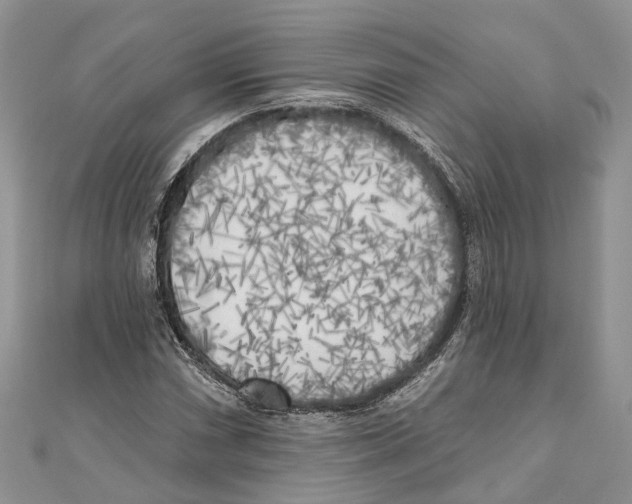 X0000111001066200907171808