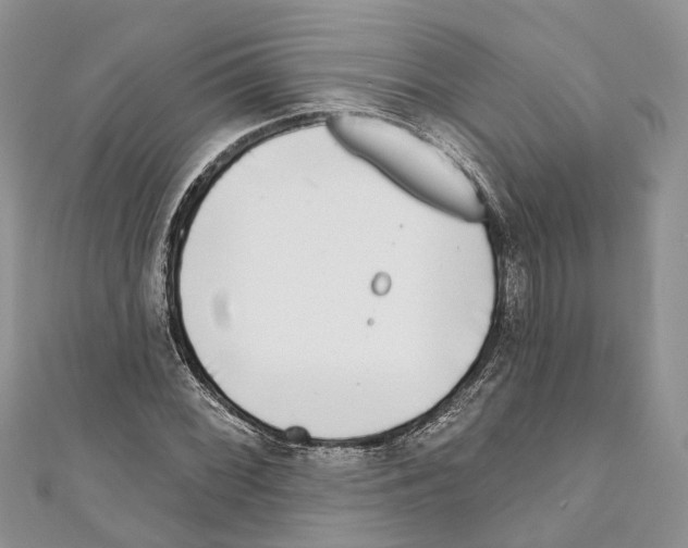 X0000111001068200907171808