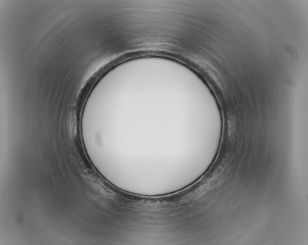 X0000111001069200907171808