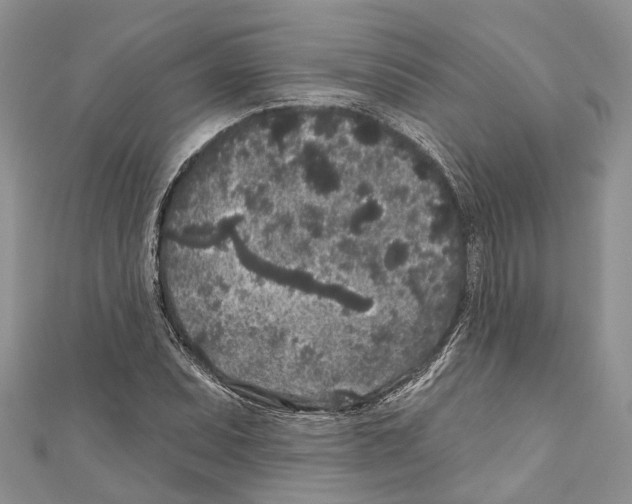 X0000111001071200907171808