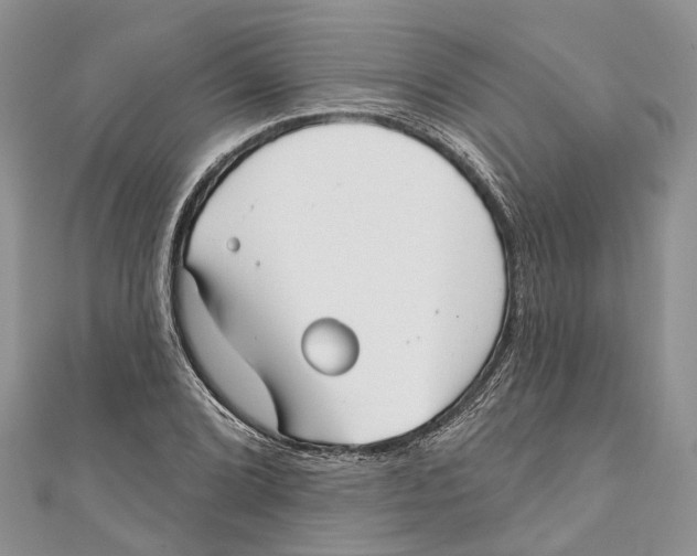 X0000111001072200907171808