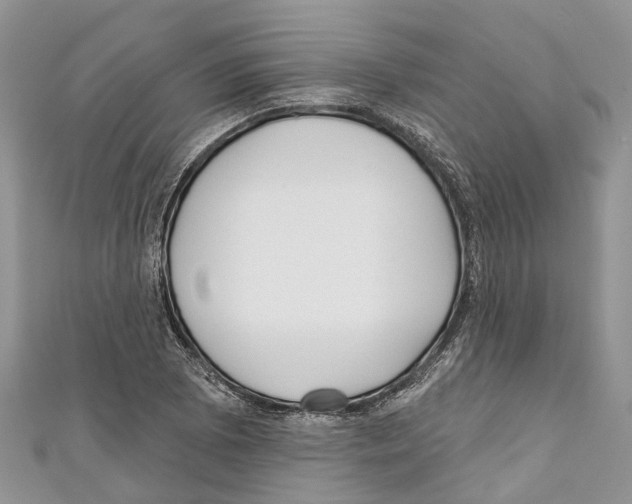 X0000111001073200907171808