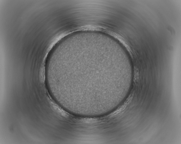 X0000111001075200907171808