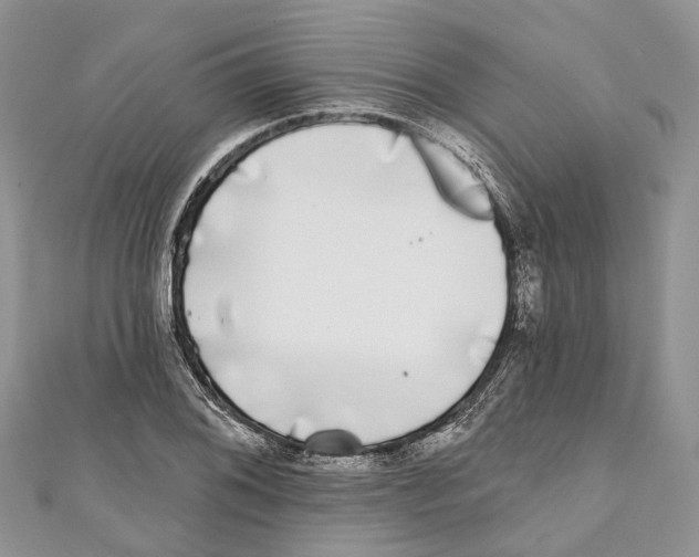 X0000111001076200907171808