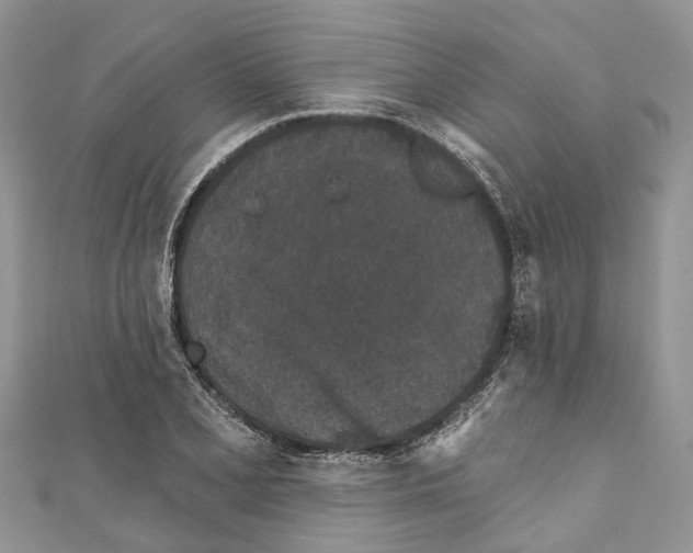 X0000111001077200907171808