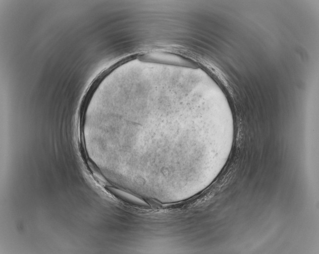 X0000111001080200907171808