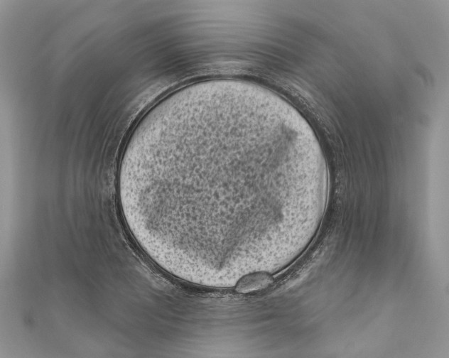 X0000111001081200907171808