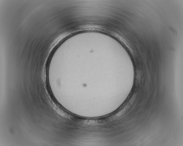 X0000111001082200907171808