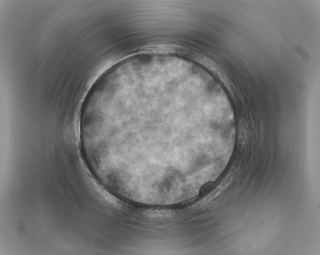 X0000111001083200907171808