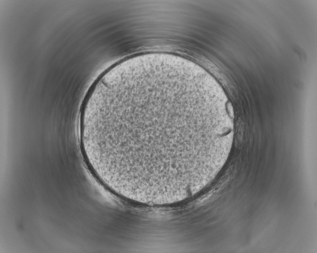 X0000111001084200907171808