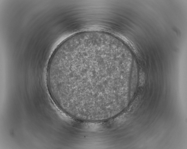 X0000111001086200907171808