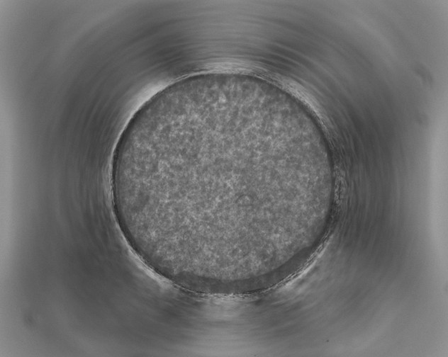 X0000111001087200907171808