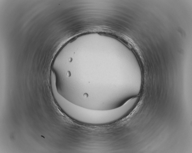 X0000111001089200907171808