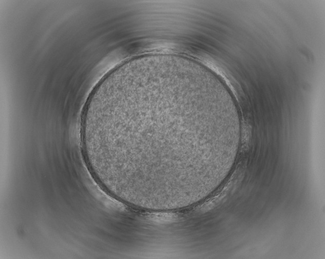 X0000111001090200907171808