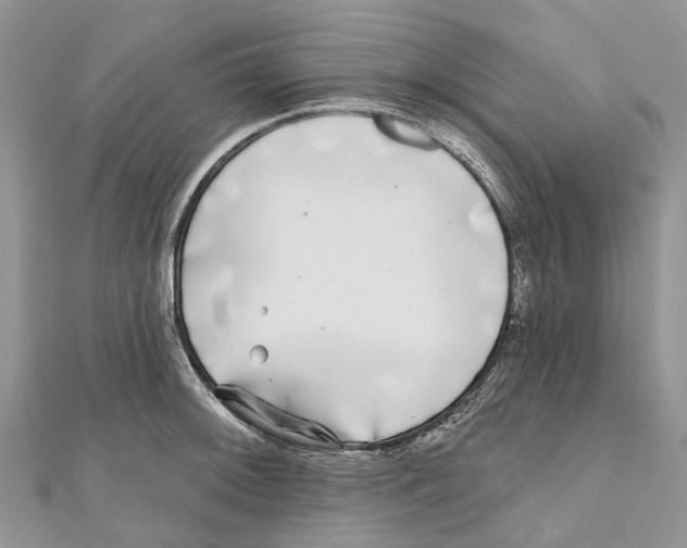 X0000111001092200907171808