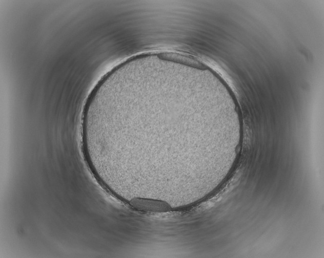 X0000111001093200907171808