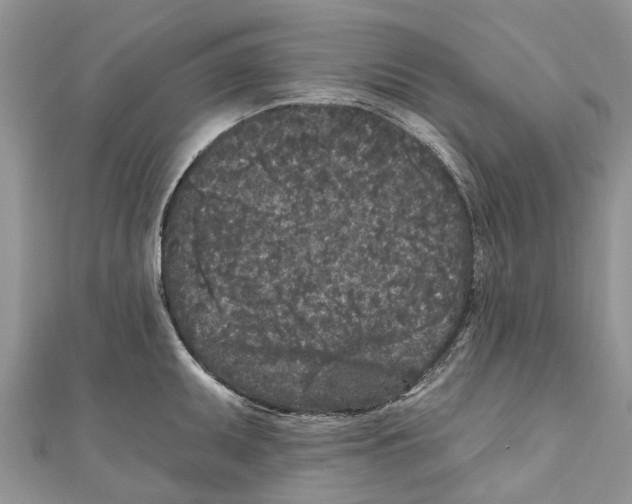 X0000111001095200907171808