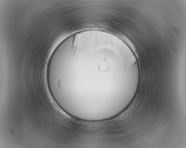 X0000111001096200907171808